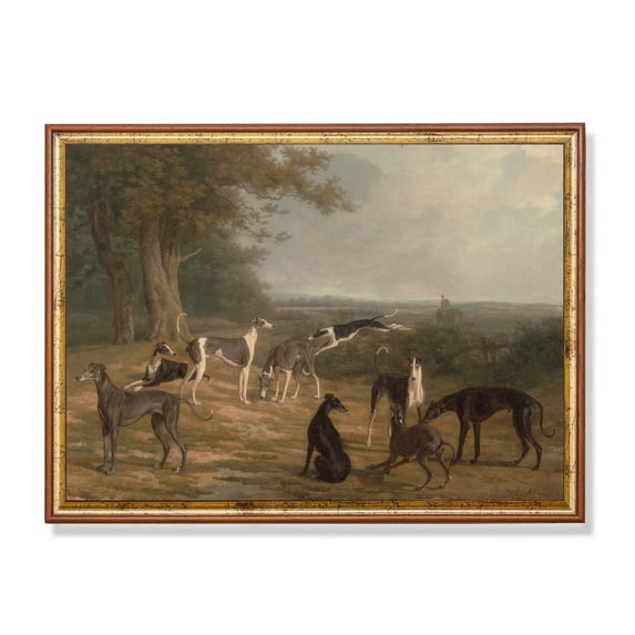 Vintage Greyhound Dog 18Th Century Fine Art Poster Home Decor, 12x18 UNFRAMED