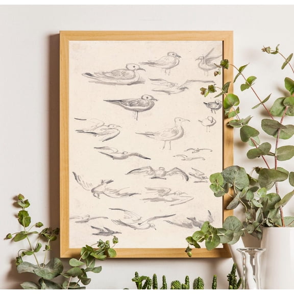 Vintage Gull Sketch : Beach House Wall Art Unframed Paper Print