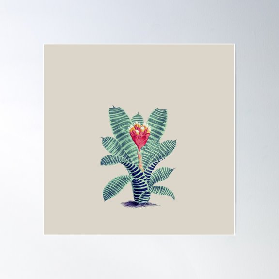 Vintage Hand Drawn Tillandsia Poster Wall Art, Modern Wall Decor For Living Room Bedroom, 30x30 UNFRAMED