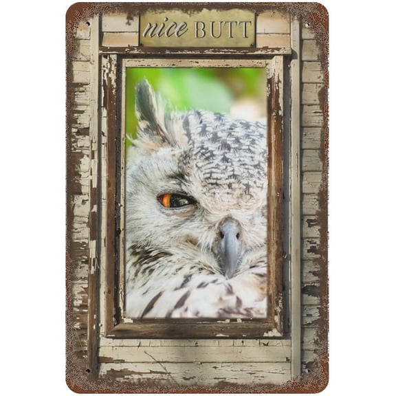 Vintage Hanging Plate Nice Butt Owl Bathroom Retro Metal Tin Sign Iron Painting for Bathroom Home Bar Coffee Kitchen Wall Decor Toilet Posters Rustic Wall Art Housewarming Gift 12"x8"