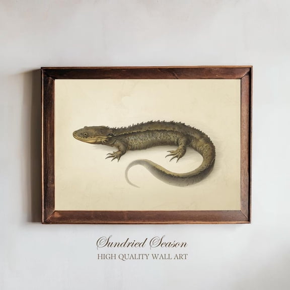Vintage Hellbender Rare Salamander Natural History Animal Home Decor Office Wall Art