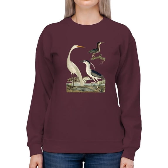 Vintage Heron Family Sweatshirt Women -Alexander Wilson Designs, Female x-Large