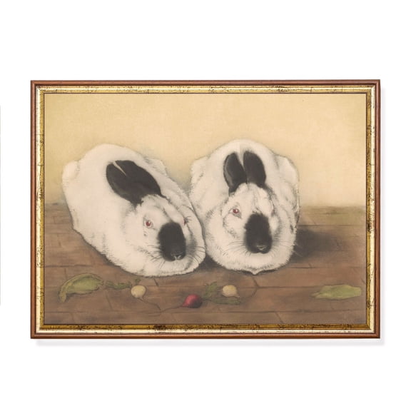 Vintage Himalayan Rabbit Poster Antique Bunnies Artwork Unframed Paper Print