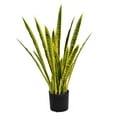 thumbnail image 1 of Vintage Home 35" Tall Sansevieria Snake Plant (VHX121), 1 of 2