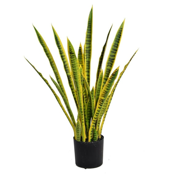 Vintage Home 35" Tall Sansevieria Snake Plant (VHX121)