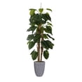 thumbnail image 1 of Vintage Home Artificial Faux 77'' Tall Scindapsus Aureus And Banana Skin With Eco-Paper Planter With Eco Planter, 1 of 2