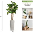 thumbnail image 1 of Vintage Home Artificial Faux Fig Tree 82" Large Fake Plant Real Touch for Indoor Home and Office Accent Décor with Stylish Fiberstone Planter, 1 of 1