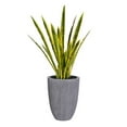 thumbnail image 1 of Vintage Home Artificial Faux Real Touch 46'' Tall Snake Plant (Sansevieria), 1 of 5