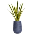 thumbnail image 1 of Vintage Home Artificial Faux Real Touch 47'' Tall Snake Plant (Sansevieria), 1 of 5