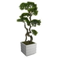thumbnail image 1 of Vintage Home Artificial Faux Real Touch 51" Bonsai Tree And Fiberstone Planter, 1 of 1