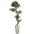 thumbnail image 1 of Vintage Home Artificial Faux Real Touch 6.08 Feet Tall Yacca Tree With Fiberstone Planter, 1 of 1