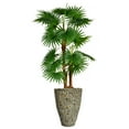 thumbnail image 1 of Vintage Home Artificial Faux Real Touch 62" Tall Fan Palm Tree With Burlap Kit And Fiberstone Planter, 1 of 3