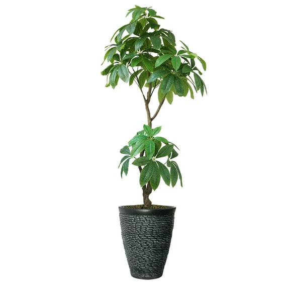 Vintage Home Artificial Faux Real Touch 7.67 Feet Tall R/T Pachira Aqua With Fiberstone Planter