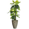 thumbnail image 1 of Vintage Home Artificial Faux Real Touch 85" Tall Elephant Ear Plant And Fiberstone Pot, 1 of 3