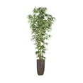 thumbnail image 1 of Vintage Home Artificial Faux Real Touch 86" Tall Bamboo Tree And Natural Poles With Resin Planter, 1 of 1