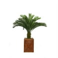 thumbnail image 1 of Vintage Home Artificial Real Touch Indoor Outdoor 57" Tall Cycas Palm Tree And 13" Fiberstone Planter, 1 of 2