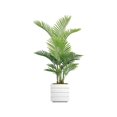 thumbnail image 1 of Vintage Home Artificial Faux Real Touch 62" Tall Real Touch Palm Tree And Fiberstone Planter, 1 of 3