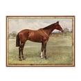 thumbnail image 1 of Antique Horse Portrait Poster Elegant Equestrian Art Home Decor, 12x18 UNFRAMED, 1 of 3