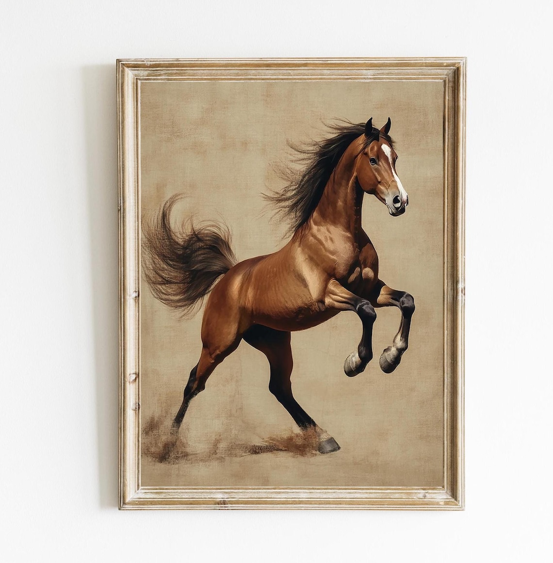 Women's Vintage Horse Art Print Casual T Shirt main image 1