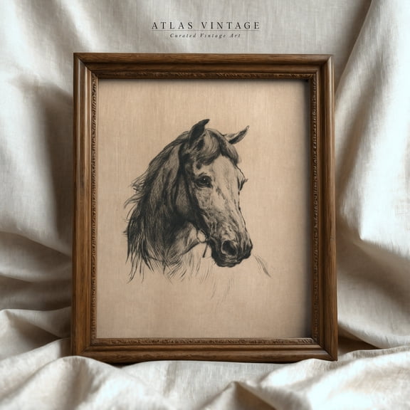 Vintage Horse Etching Sketch Equestrian Wall Art Print Farmhouse Animal Farm Drawing Horse Lover Gift Cottagecore Decor NO FRAME