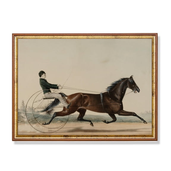 Vintage Horse Lithograph Antique Equestrian Art Poster Home Decor, 24x36 UNFRAMED