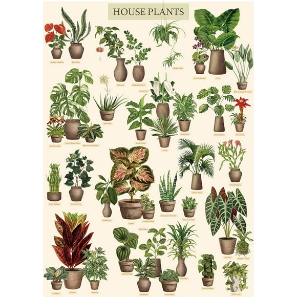 Vintage Houseplant Puzzle 300 Pieces for Adult, Botany Succulent House Plant Puzzle, 39 Common Indoor Plants Gift for Boys and Girls Family Fun Wooden Puzzle Games Toys