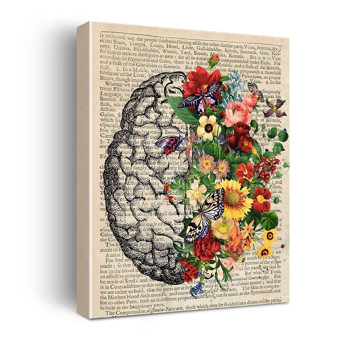 Vintage Human Anatomy Poster - Anatomy Canvas Wall Art Anatomical Brain ...