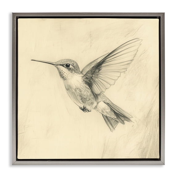 Stupell Industries Vintage Hummingbird Sketch Gray Framed Floater Canvas Wall Art, design by Petal Prints Design