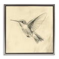 thumbnail image 1 of Stupell Industries Vintage Hummingbird Sketch Gray Framed Floater Canvas Wall Art, design by Petal Prints Design, 1 of 9