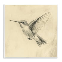 Stupell Industries Vintage Hummingbird Sketch Wall Plaque Art, design by Petal Prints Design