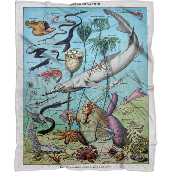Vintage Insects Blanket Retro Illustration Throws Gift for Boys Girls, Wild Animal Decor Plush Soft Lightweight Flannel Fleece Blankets for Bed Couch Chair 50x40In Kid
