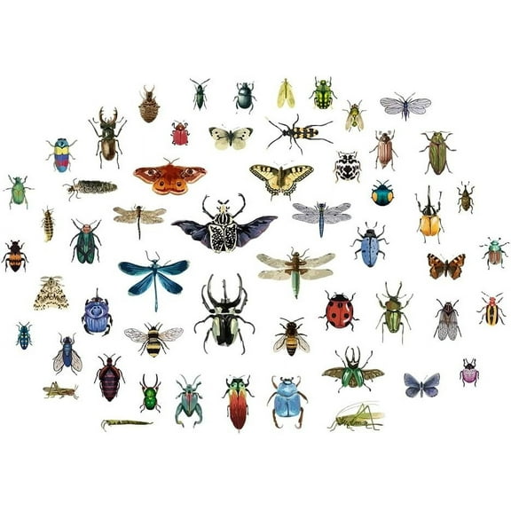 Vintage Insects Scrapbook Wall Sticker Taxidermy Butterfly Wall Decor Moth Beetle Decal Dragonfly Grasshopper Vinyl Art Wallpaper