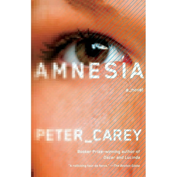Vintage International: Amnesia (Paperback)