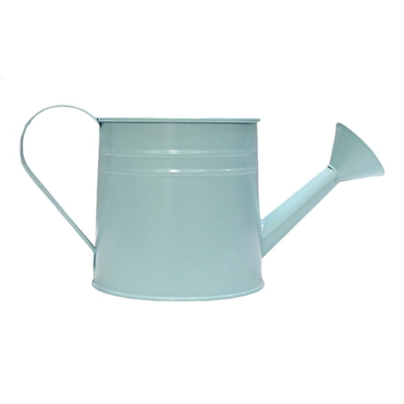 Vintage Iron Watering Can Planter Decorative Metal Flower Pots for Home Garden