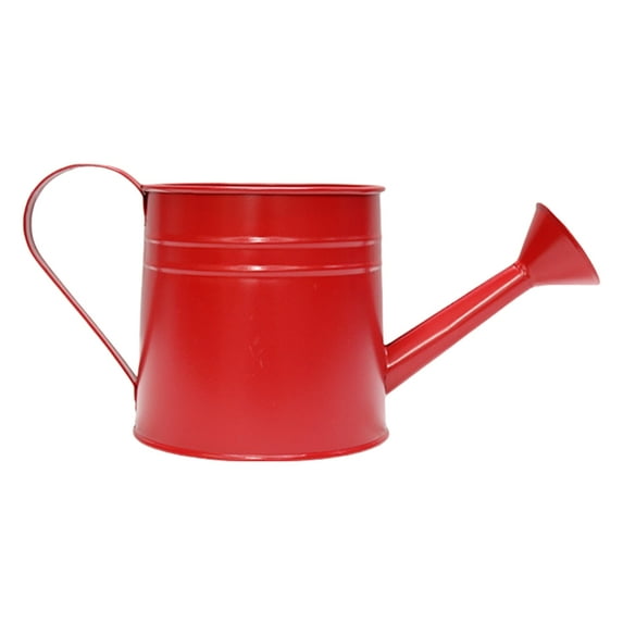 Vintage Iron Watering Can Planter Decorative Metal Flower Pots for Home Garden
