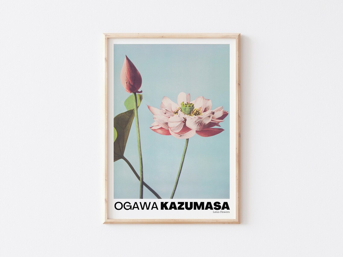 Vintage Japanese Print, Ogawa Kazumasa Poster, Lotus Flower Wall Art ...