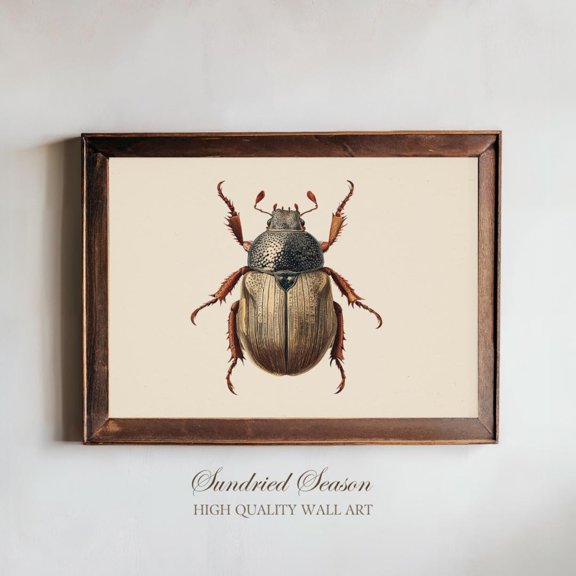 Vintage June Bug Illustration Scientific Beetle Entomology Natural History, Unframed Canvas 16x20in