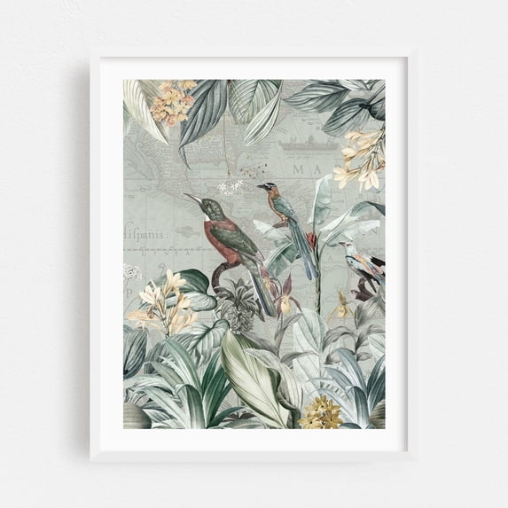 Vintage Kingfishers in the Tropics - Illustration Botanical Bird Tropical Floral Vintage Map Nature White Framed Wall Art Print 12 x 16 inches