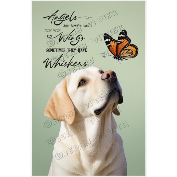 Vintage Labrador Aluminum Tin Sign - Angels Don't Always Have Wings - Suitable for Restrooms, Bars, Pubs, Cafes, and Restaurants - 12x8 Inches