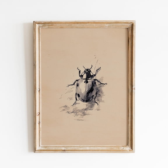 Vintage Ladybug Sketch Vintage Insect Minimal Bug Artwork Rustic Nature Antique Beetle Drawing Neutral Retro, Stretched Canvas