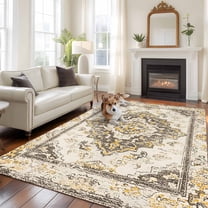 Vintage Large Area Rugs 6x9 ft Abstract Brown Bohemian Farmhouse Tribal Washable Rug Non Slip Indoor Carpet Absorbent Floor Mat for Living Room Bedroom Dining Room