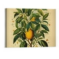 thumbnail image 1 of Vintage Lemon Botanical Farmhouse Wall Art Poster Print:20×16in Unframed Boho Flower Decoration Prints, Nature Pictures, Aesthetic Floral Posters for Bedroom, Bathroom, Kitchen &amp; Office Decor, 1 of 3