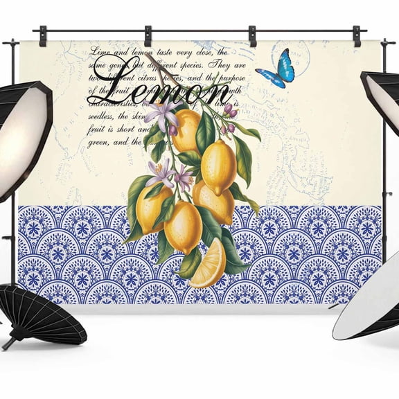 Vintage Lemons Photography Backdrop 8x6FT, Fruit Leaves Art Beige Blue Geometric Pattern Photo Backdrops, Background for Photography Studio Photo Studio Background, Back Drop for Photoshoot