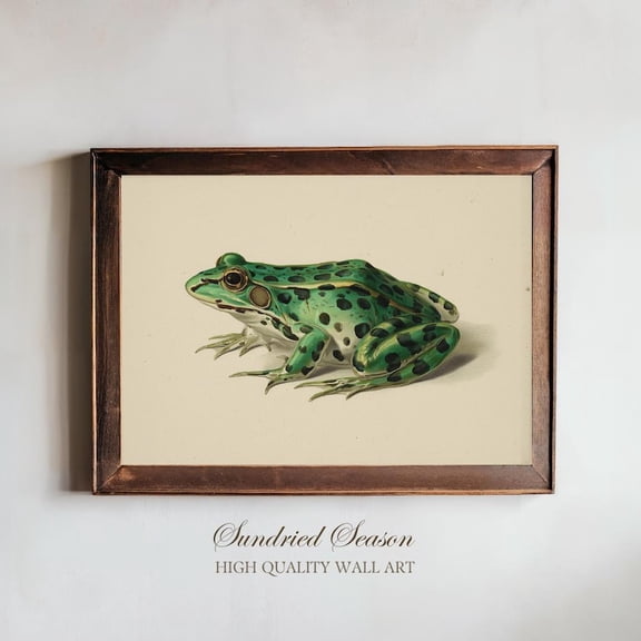 Vintage Leopard Frog Spotted Amphibian Scientific Illustration Gallery Wall, Stretched Canvas 8x10in