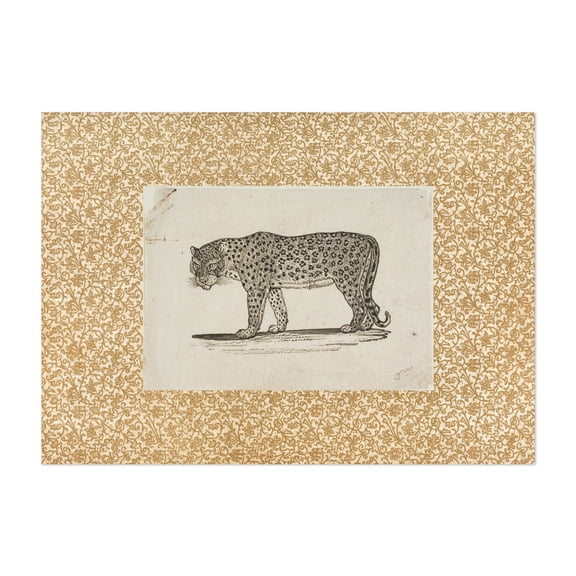 Vintage Leopard Sketch - Collage Wildlife Animal Vintage Illustration Pattern Sketch Unframed Wall Art Print 4 x 6 inches