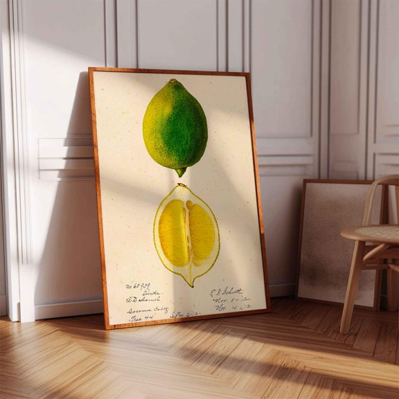 Vintage Lime Wall Art Botanical Illustration Kitchen Print Home Decor Picture Gift Idea