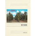 thumbnail image 1 of Vintage Lined Notebook Greetings from Iowa, Corn Field (Paperback), 1 of 1