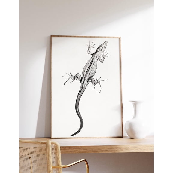 Vintage Lizard Wall Art Print, Animal Drawing And Natural History Decor