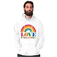 thumbnail image 1 of Vintage Love Always Wins Rainbow Unisex Plus Fleece Graphic Hoodie Brisco Brands 5X, 1 of 5