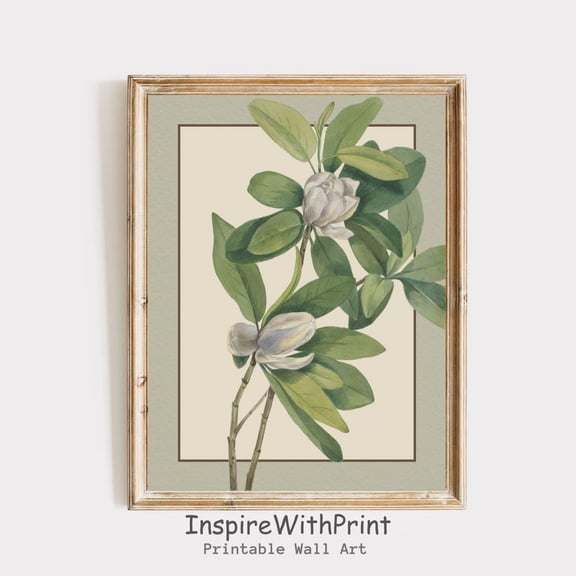 Vintage Magnolia Flower Poster Floral Botanical , Green Botanical Art Printable Spring Wall Art, Green Wall Art, Cottage Core Print, Size 12x18 UNFFRAMED F03.1.6l536